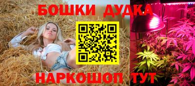 мяу мяу мука Партизанск