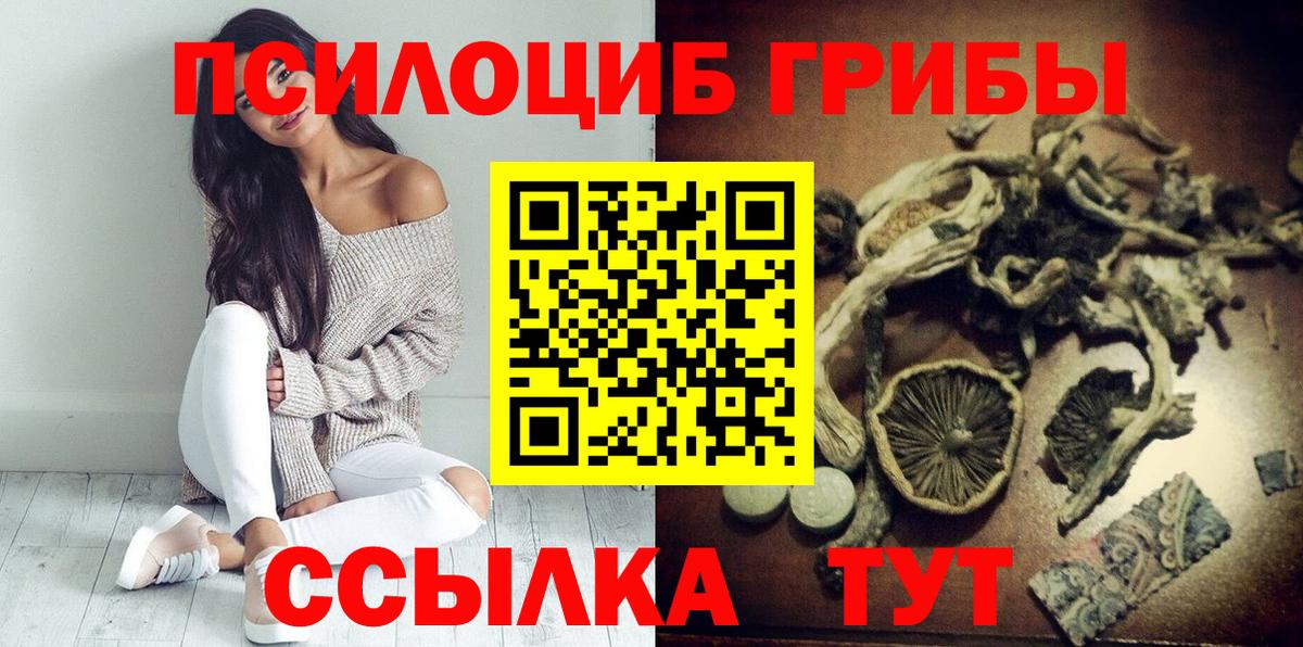 Новошахтинск  Галлюциногенные грибы MAGIC MUSHROOMS  Вход с VPN 